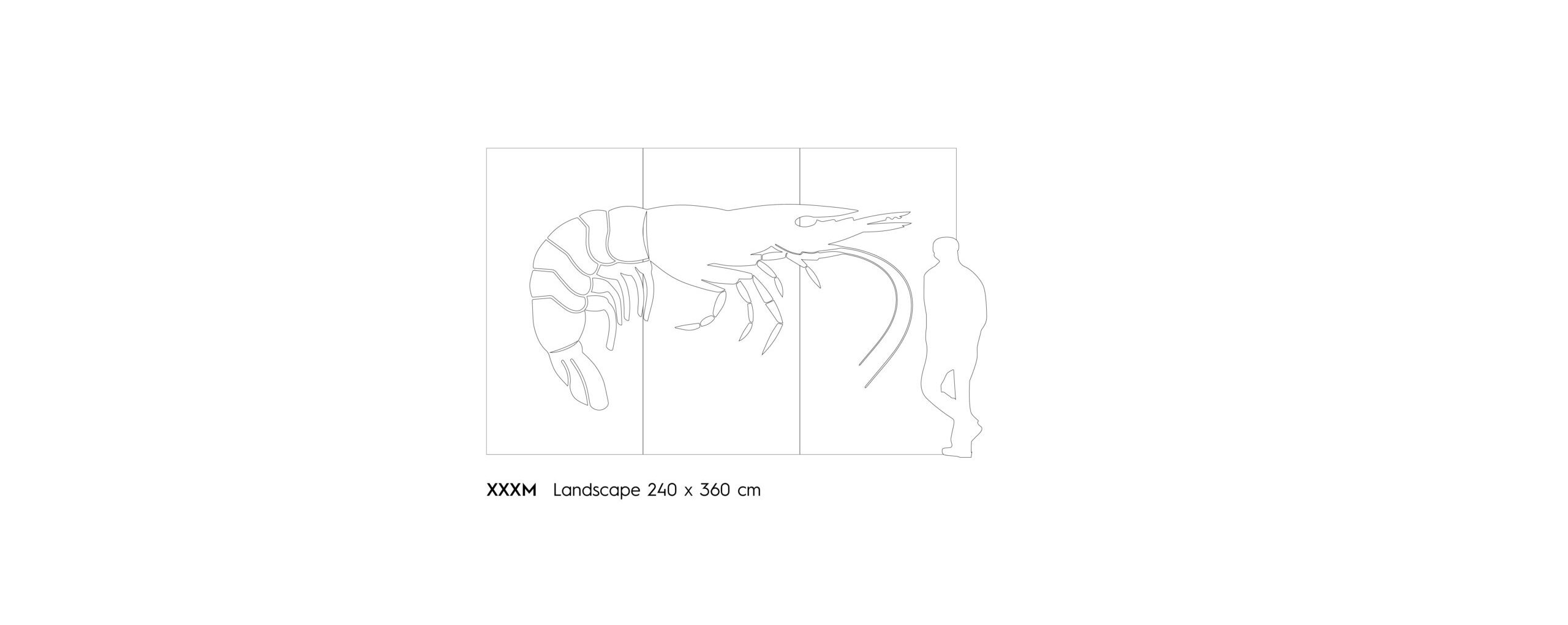10 grids del mare31