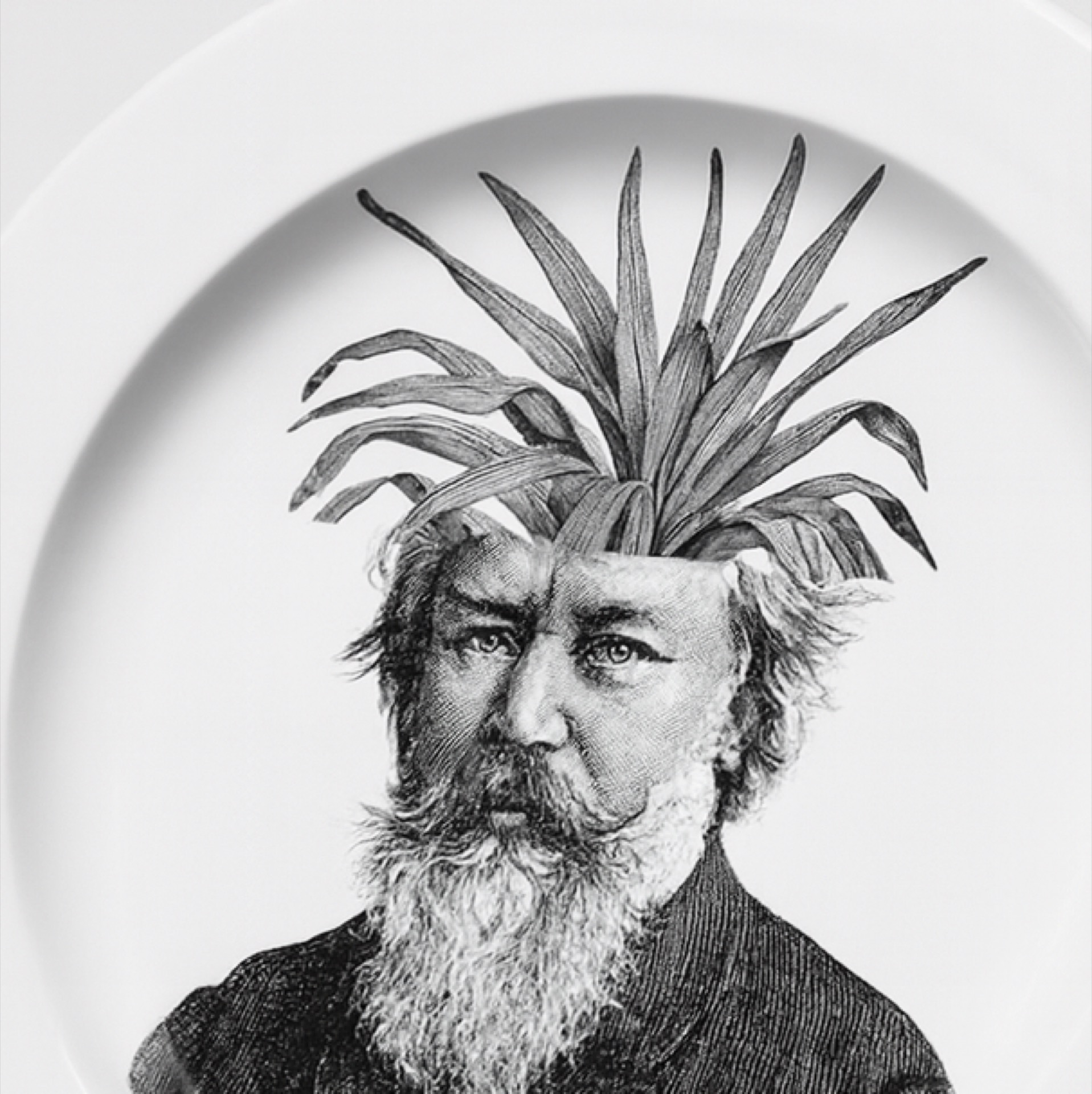 Teller_BH_001_Detail_2 Kopie